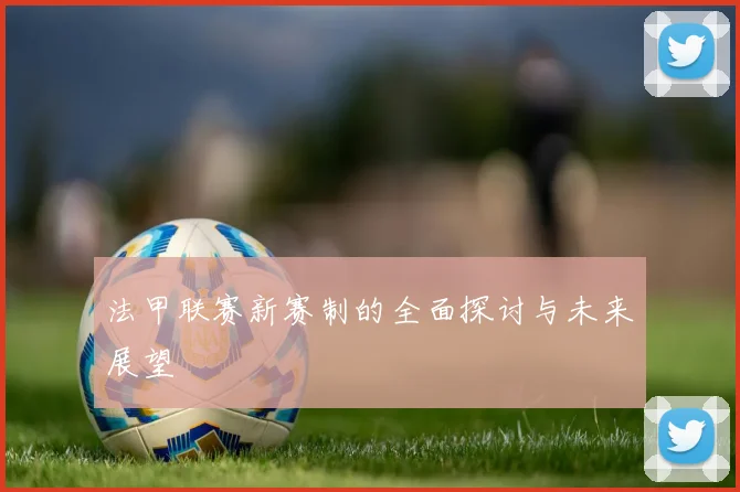 法甲联赛新赛制的全面探讨与未来展望