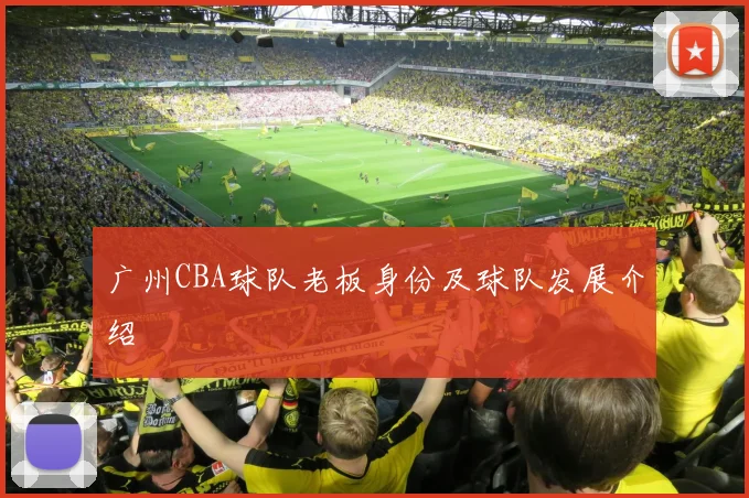广州CBA球队老板身份及球队发展介绍