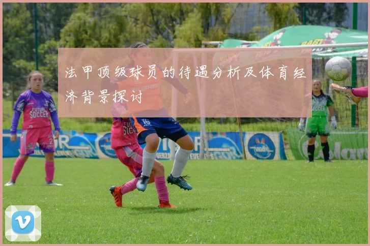 法甲顶级球员的待遇分析及体育经济背景探讨