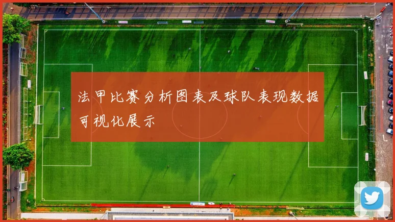 法甲比赛分析图表及球队表现数据可视化展示