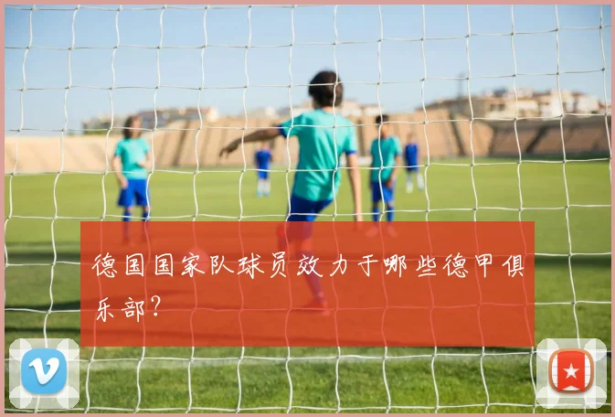 德国国家队球员效力于哪些德甲俱乐部？