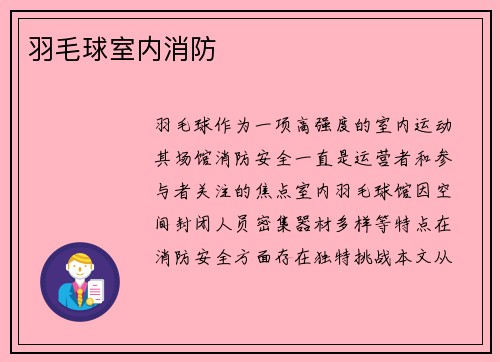 羽毛球室内消防