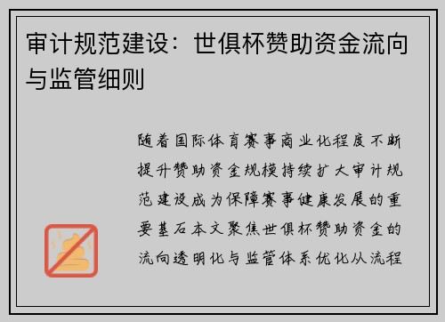 审计规范建设：世俱杯赞助资金流向与监管细则
